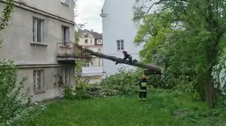 Ogromne drzewo zwaliło się na sąsiadujący budynek