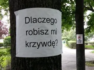 Na drzewach pojawiły się napisy sprzeciwiające się ich wycince