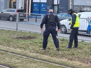 Do zdarzenia doszło na przystanku Park Dreszera