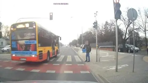 Inni stanęli przed przejściem. Kierowca autobusu przejechał na czerwonym