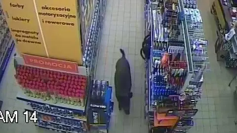 Dzik w sklepie? To nie powinno dziwić