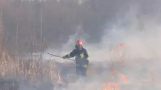 Pożar traw