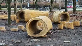 Naturalny plac zabaw w Parku Bródnowskim