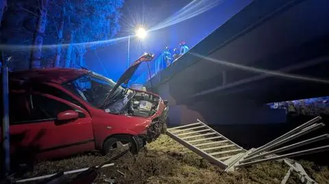 Samochód spadł z mostu w Sochaczewie