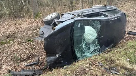 Dachowanie w miejscowości Kury