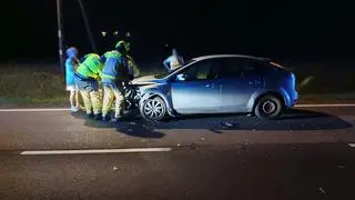 Kolizja z udziałem jelenia w miejscowości Leszno