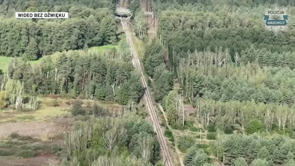 poszukiwania