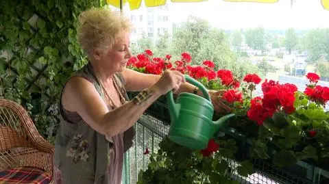 "Kalesony nie przeszkadzają, o kwiaty jest wojna"