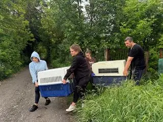 Zaniedbane psy były zamknięte w piwnicy 