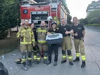 Strażacy uratowali kota, który zaginął po pożarze bloku 