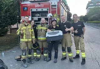 "Postawiliśmy sobie za punkt honoru odnalezienie tego kota" 