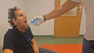 Piaseczno. Policja zabezpieczyła krzewy konopi indyjskiej