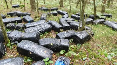 Takie "pakunki" ktoś podrzucił w lesie