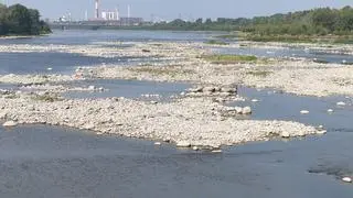 Niski poziom Wisły w Warszawie 