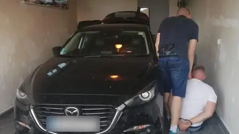 "Skorpion" w dziupli. Kradziona mazda i części do toyoty 
