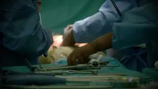 Prokuratura bada sprawę zgonów 23 pacjentów poznańskiego szpitala, u których stosowano lek Actilyse