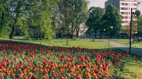 Konkurs na koncepcję dla parku Kazimierzowskiego i skweru "Agatona"