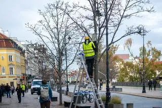 Montaż świątecznej iluminacji 