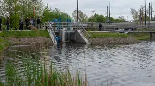 Mała elektrownia wodna na ujściu ze Stawu Służewieckiego