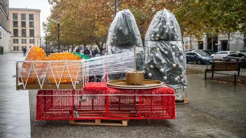 Bombki muchomory, kryształy z kredensu babci. Rozpoczął się montaż zimowej iluminacji