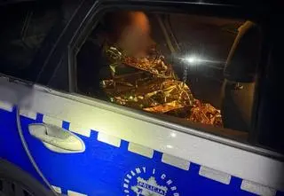 Siedział na leśnej drodze, miał objawy hipotermii