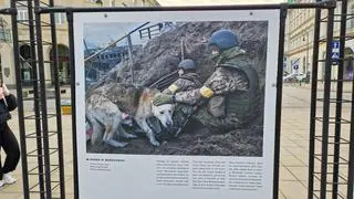 Wystawa "Oczy wojny" na Krakowskim Przedmieściu 