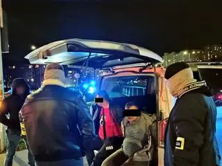 Kradli auta na potęgę