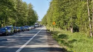 Śmiertelny wypadek na DK50