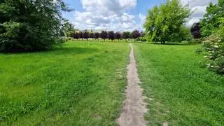 Grillowanie w Parku Górczewska