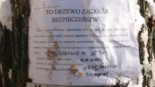 Wycięli drzewa w parku na Ochocie