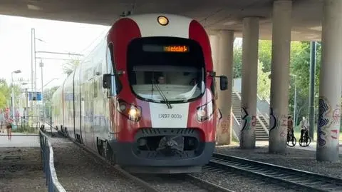 Warszawa. Pociąg pod wiaduktem