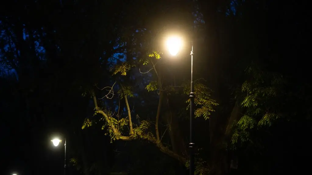 Nowe lampy rozświetlą warszawskie parki