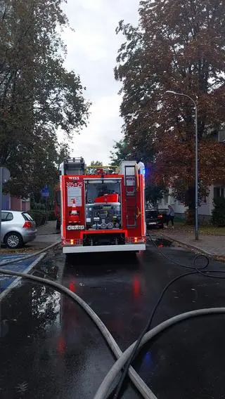 Pożar samochodów na ulicy Londyńskiej