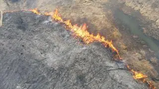 Duży pożar traw nad Wisłą