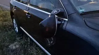 Potrącenie łosia na S2