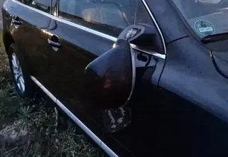 "Stał na środku jezdni". Łoś nie przeżył zderzenia z autem