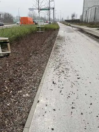 Park nad POW zdewastowany