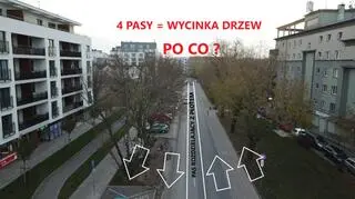 Mieszkańcy pytają o drzewa