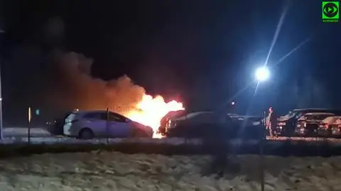 Pożar na parkingu, paliły się trzy auta