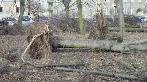 Wycięte drzewa w parku na Solcu. "Zagrażały bezpieczeństwu"