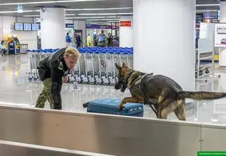 Jay wyczuł marihuanę. W walizce było 16 skrętów