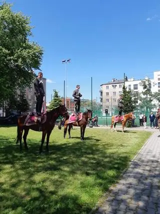 Klasa kawalerii konnej w praskim liceum