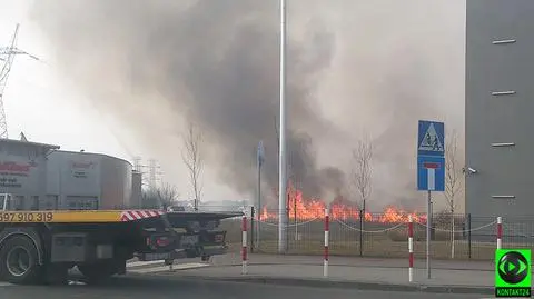 Pożar traw na Białołęce. Ogień blisko zabudowań