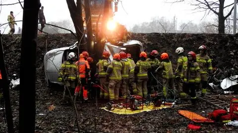 Samochód zjechał z nasypu i uderzył w drzewa. Strażacy wydostali rannego kierowcę z wraku