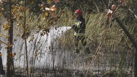 Mazowsze: 361 pożarów w ciągu doby. Płoną trawy, lasy, śmieci i mieszkania