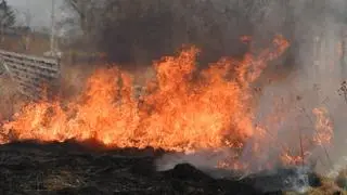 Na miejsce przyjechały dwa zastępy straży 