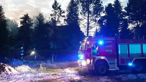 Pożar domu w Aleksandrowie. Z ogniem walczyło prawie 50 strażaków