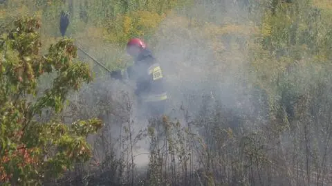 Pożar traw przy Trasie Siekierkowskiej