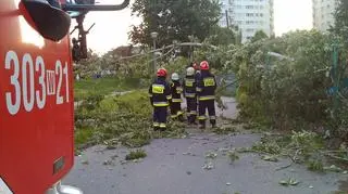 Topola runęła na samochody