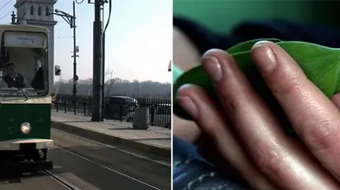 Fryzjer zamiast kanara. Niezwykły tramwaj z kwiatami na dzień kobiet